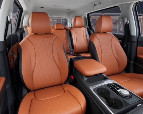 Kia Carnival 11