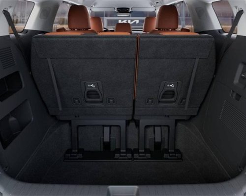 Kia Carnival 13