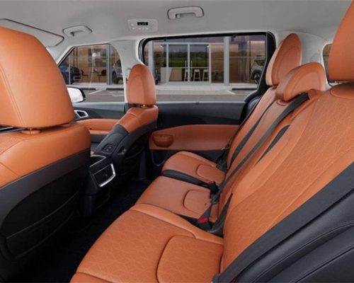 Kia Carnival 14